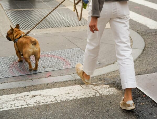 Woman walking dog on sidewalk curb cut